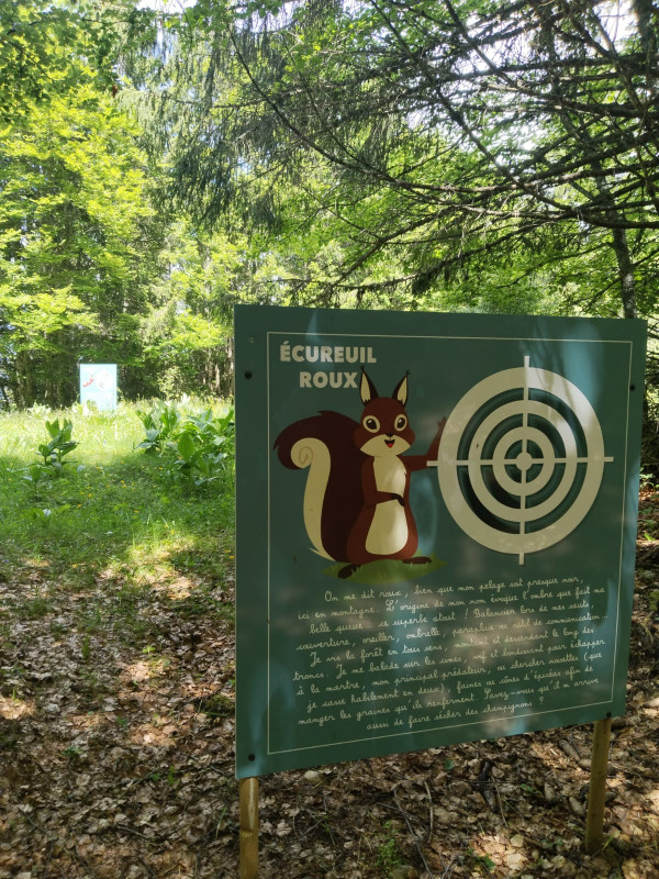 Cible écureuil - © Village Tipi Cible écureuil