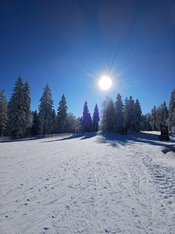 Beauté sauvage nature chez nous à crolles