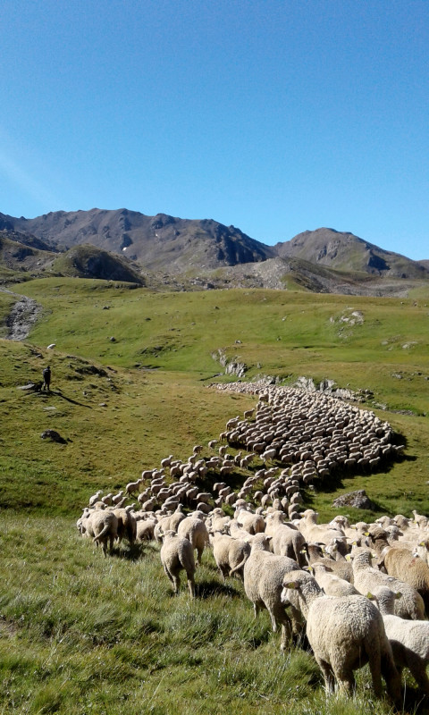 rando_mont_ete1.jpg - © A. Adjou / Rando Montagne rando_mont_ete1.jpg