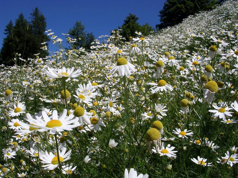 rando_mont_ete5.jpg - © A. Adjou / Rando Montagne rando_mont_ete5.jpg