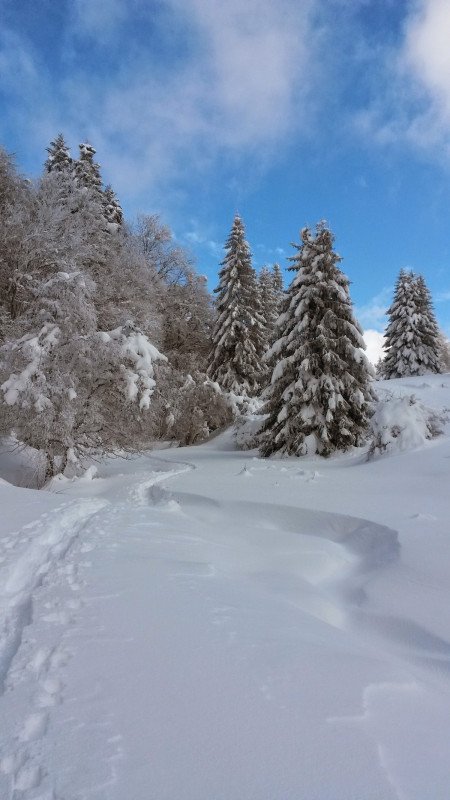 Randonnée raquettes