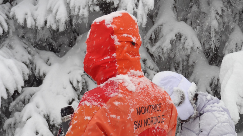 tempete.png - © Anne-Marie Recollin Bellon tempete.png