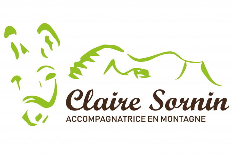 logo_claire_sornin_apidae.jpg