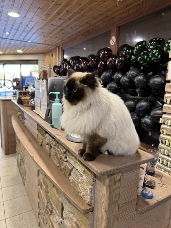 Magasin Léon Sports à Aussois