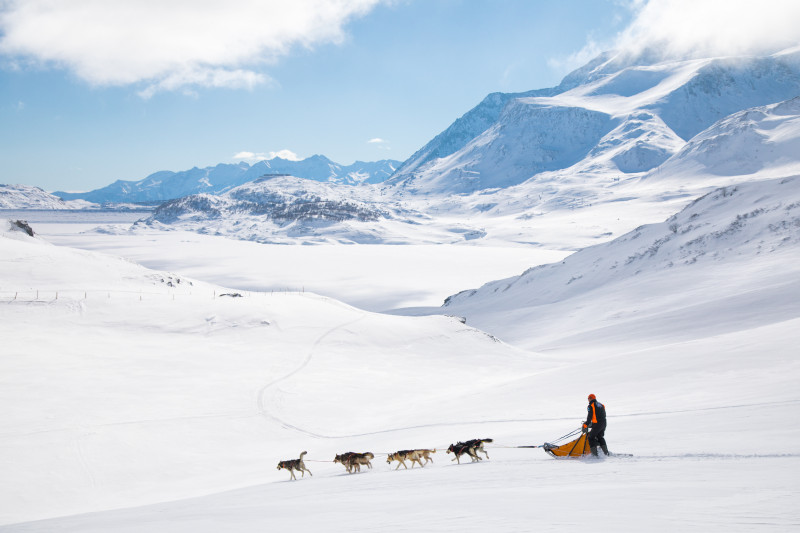 aussois-husky-adventure-chiens-de-traineau - © Husky Adventure aussois-husky-adventure-chiens-de-traineau