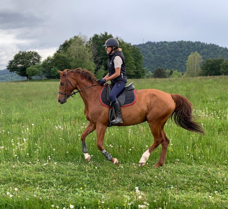 Centre équestre Volte face - © Charles Thiebaut Centre équestre Volte face