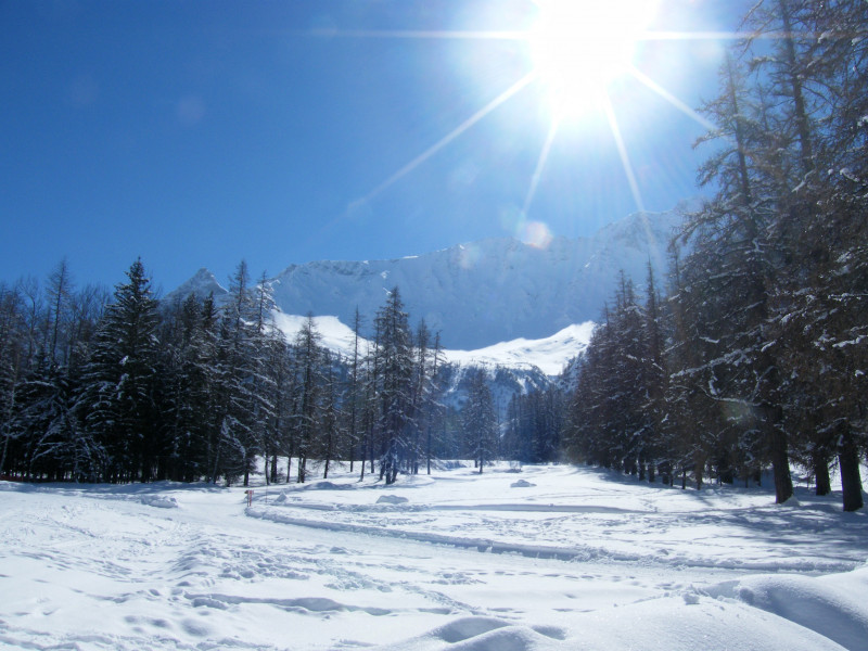 Site nordique de Peisey-Vallandry - © OT Peisey-Vallandry Site nordique de Peisey-Vallandry