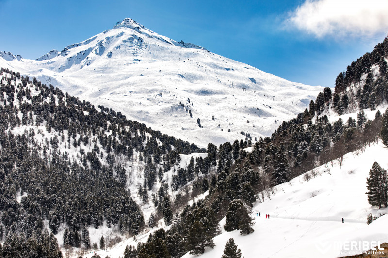 Sentier hiver Chemin du Vallon (raquettes)
