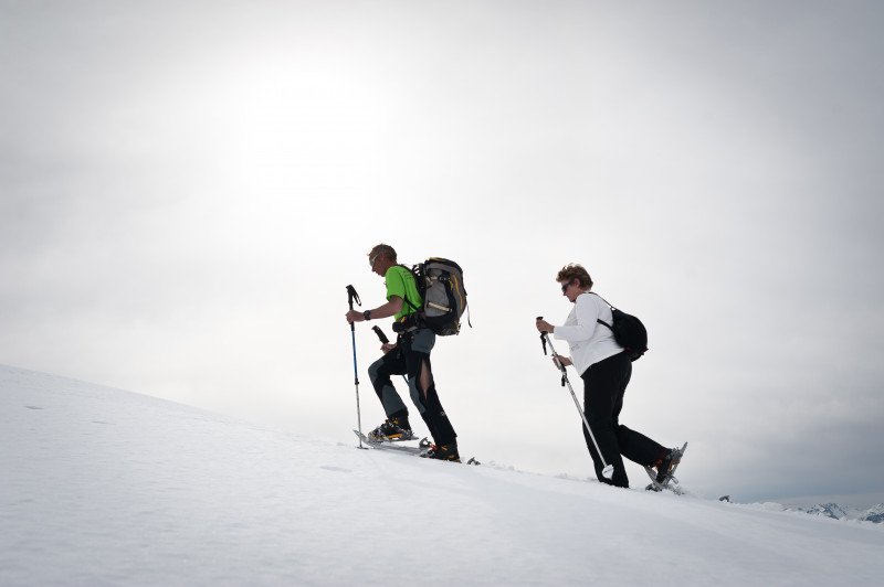Randonnée en raquette