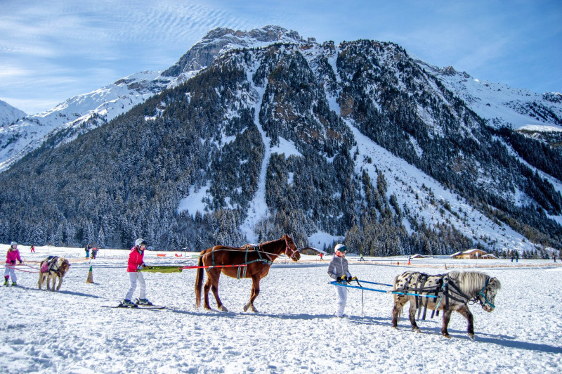 Ranch l'Ancolie_Pralognan-la-Vanoise Ranch l'Ancolie_Pralognan-la-Vanoise