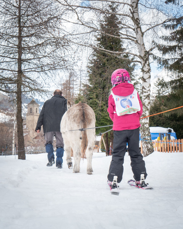 Anes Vanoise à Val Cenis-Lanslebourg - © J.Cathala - OTHMV Anes Vanoise à Val Cenis-Lanslebourg