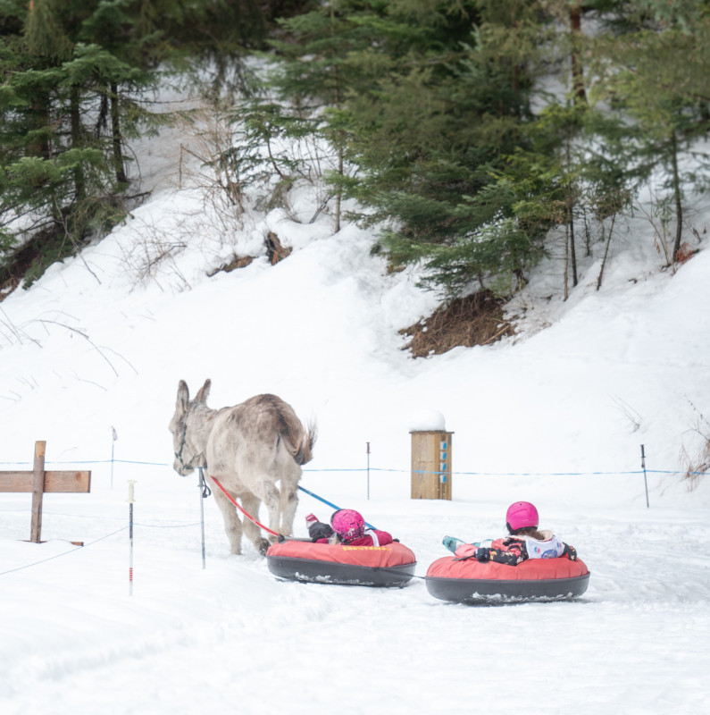 Anes Vanoise à Val Cenis-Lanslebourg - © J.Cathala - OTHMV Anes Vanoise à Val Cenis-Lanslebourg