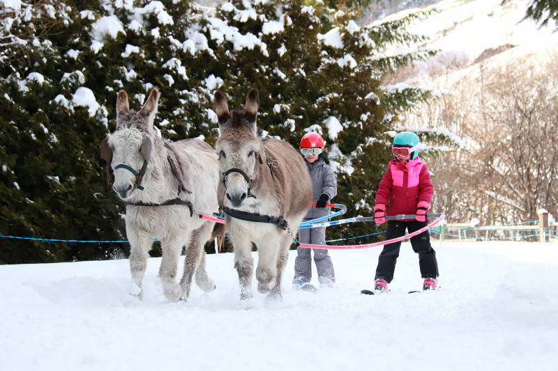 Anes Vanoise à Val Cenis-Lanslebourg - © Yvan Anes Vanoise à Val Cenis-Lanslebourg