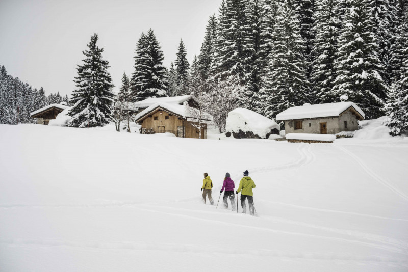 Le village de Chollière