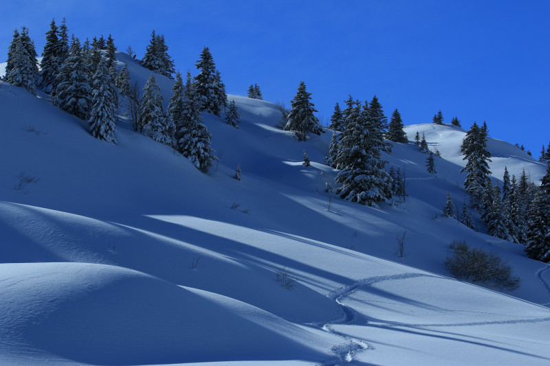 sortie-raquette-les-saisies - © Artitude sortie-raquette-les-saisies