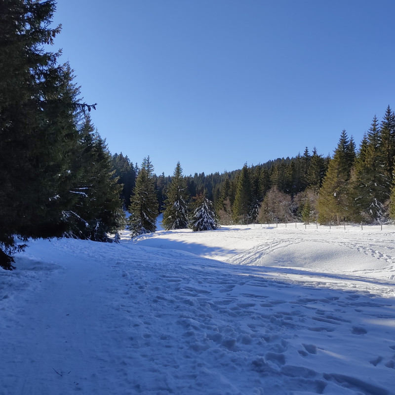 balcons du lac