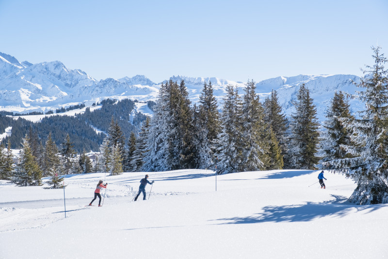 Les Saisies un domaine pour tous les niveaux - © J. Dorol Les Saisies un domaine pour tous les niveaux