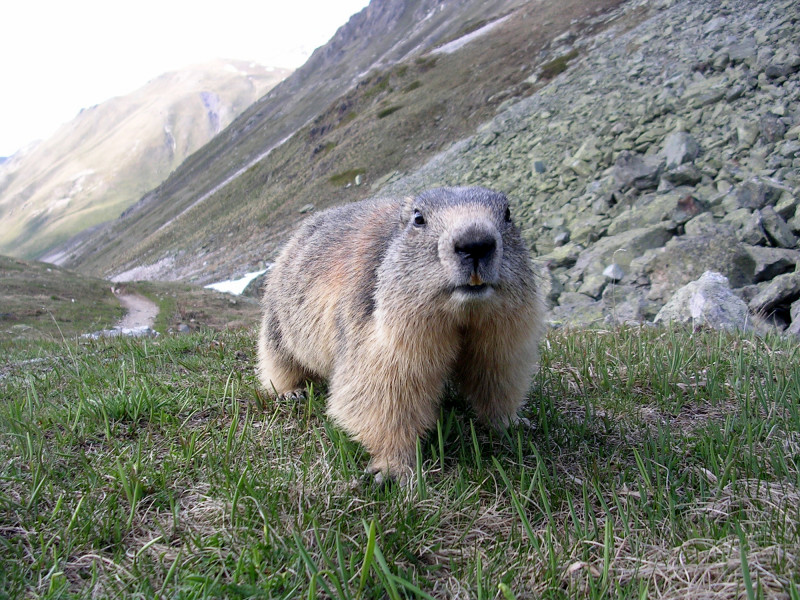 rando_mont_ete4.jpg - © A. Adjou / Rando Montagne rando_mont_ete4.jpg