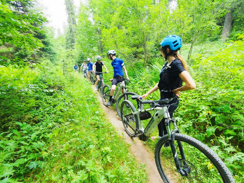 VTT Electrique La Féclaz
