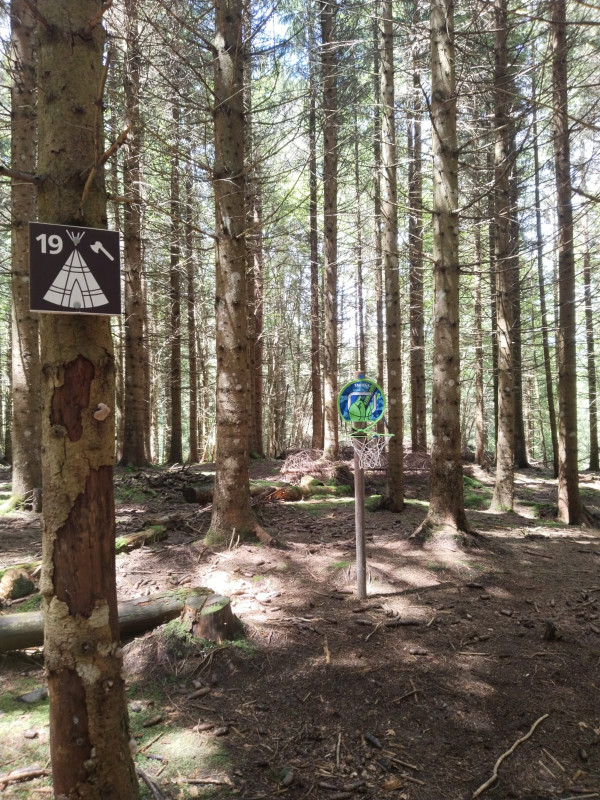 Forêt - © Village Tipi Forêt