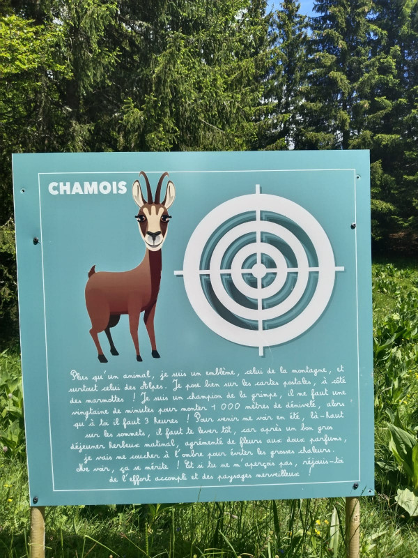 Cible Chamois - © Village Tipi Cible Chamois