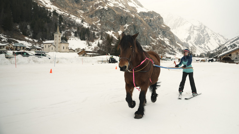 Ski joëring