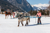 Ski Joering