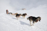 Baptême en traineau à chiens à Bessans avec Husky Adventure