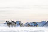 La Grande Odyssée Royal Canin - Bessans