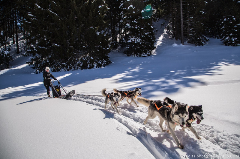 Baptême en traîneau à chiens