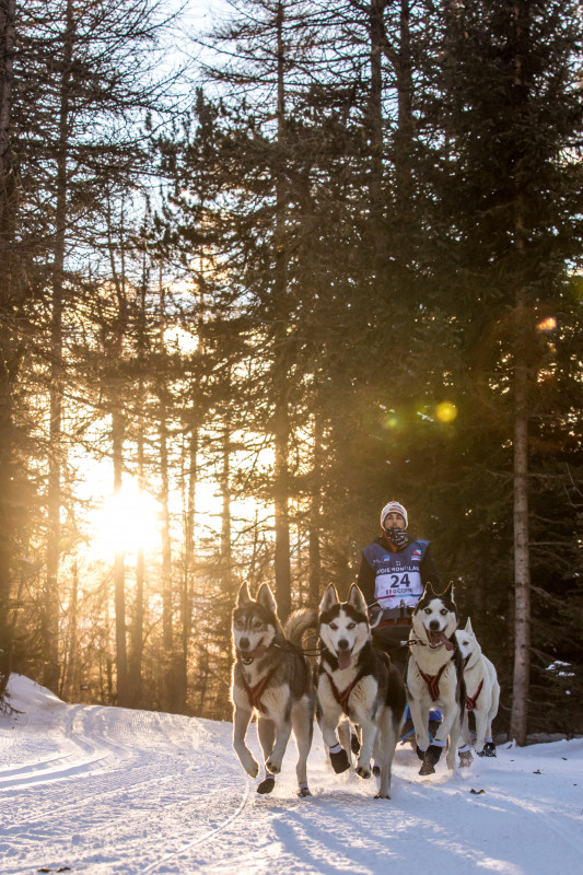 La Grande odyssée - © Vincent Piccerelle La Grande odyssée