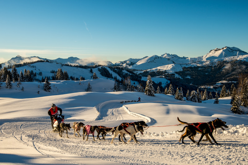 La Grande odyssée - © Benoit Diacre La Grande odyssée