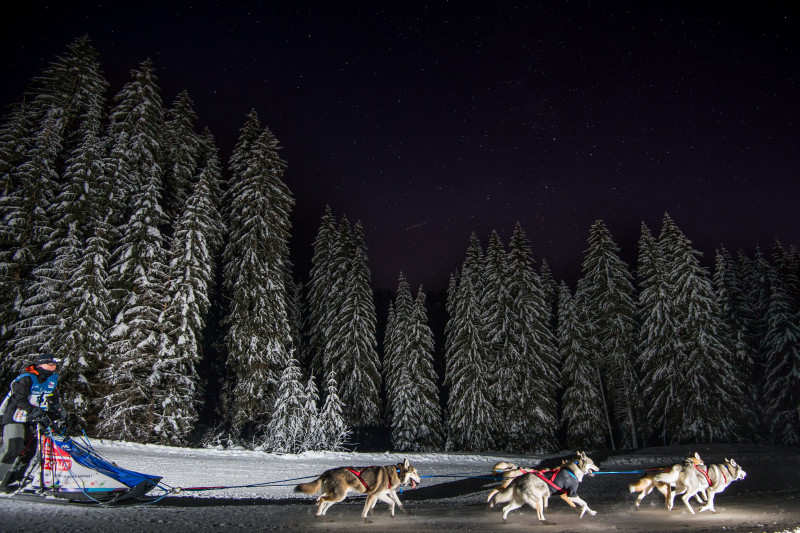 La Grande odyssée - © Benoit Diacre La Grande odyssée