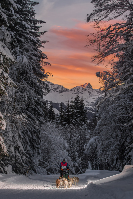 La Grande odyssée - © Vincent Piccerelle La Grande odyssée