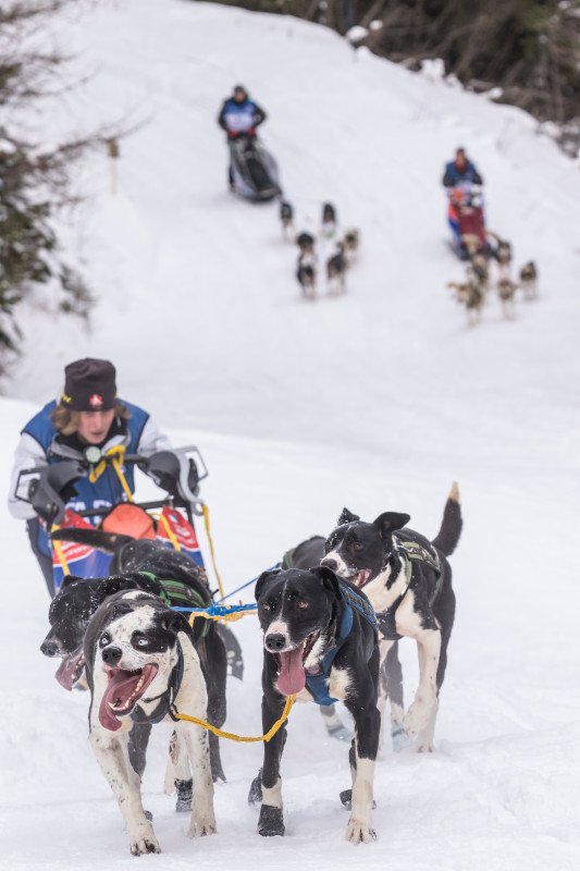 La Grande odyssée - © Vincent Piccerelle La Grande odyssée
