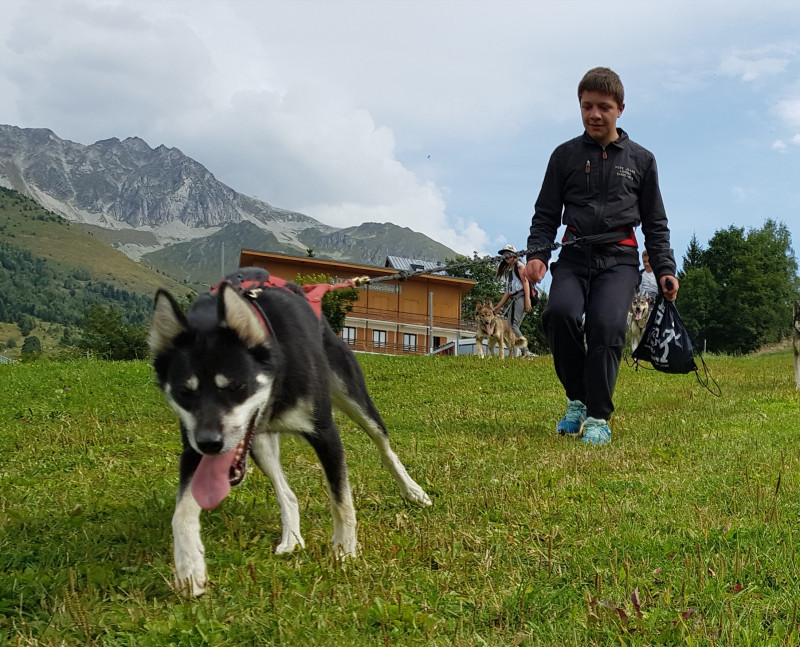 val-cenis-lanslebourg-cani-rando - © Husky Adventure val-cenis-lanslebourg-cani-rando