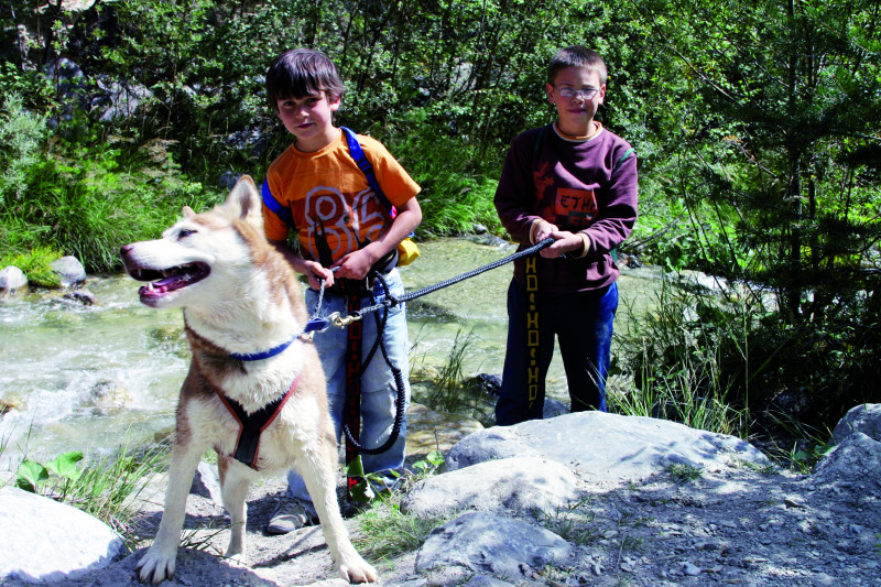 Photo - © husky-adventure Photo