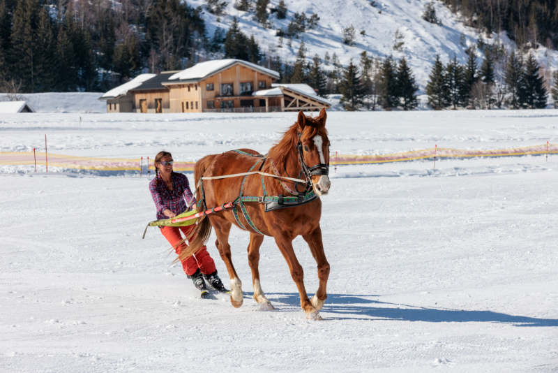 Ski Joering