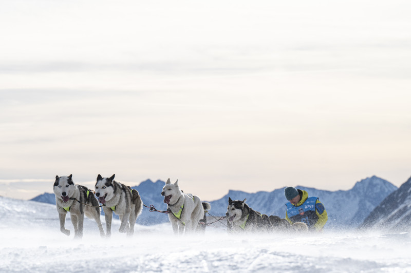 La Grande Odyssée Royal Canin - Bessans - © Benoit Diacre La Grande Odyssée Royal Canin - Bessans