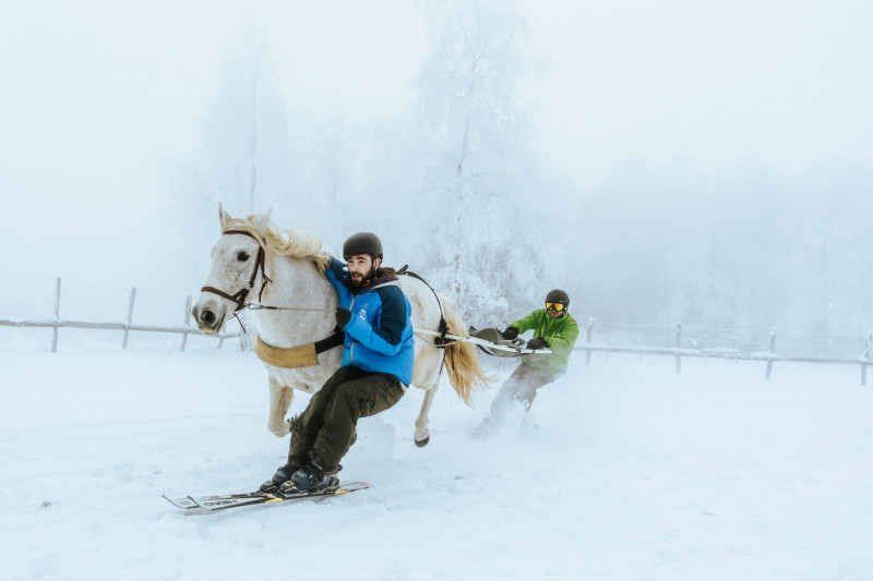 Séance de ski-Joëring_La Féclaz