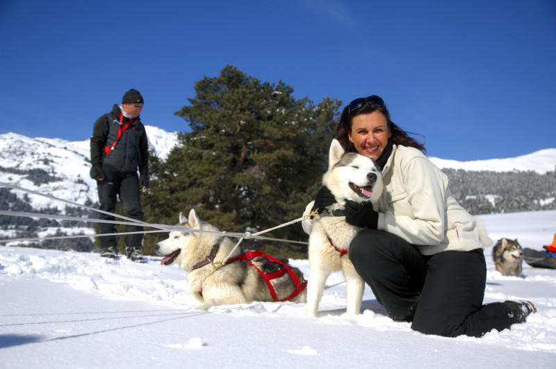 Baptême en chien de traineaux avec Husky Adventure