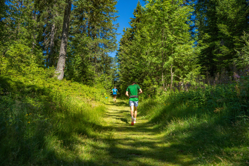 Trail Bambée 2022
