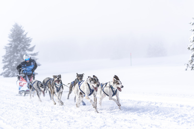 La Grande Odyssée aux Karellis