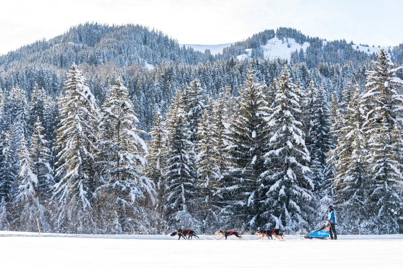 La Grande Odyssée aux Karellis