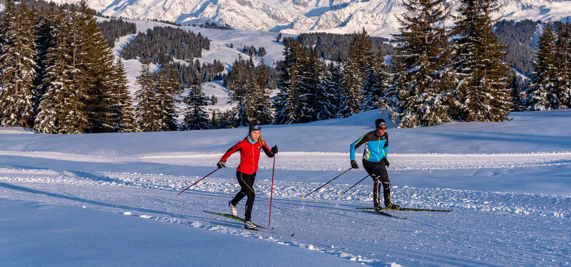 Tout ce que vous devez savoir sur la neige