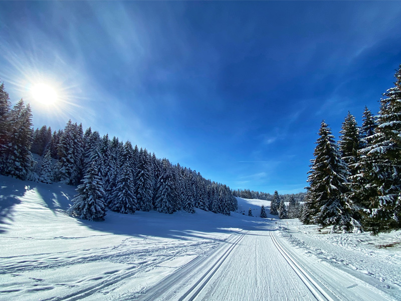 Sur les pistes de ski de fond en Savoie