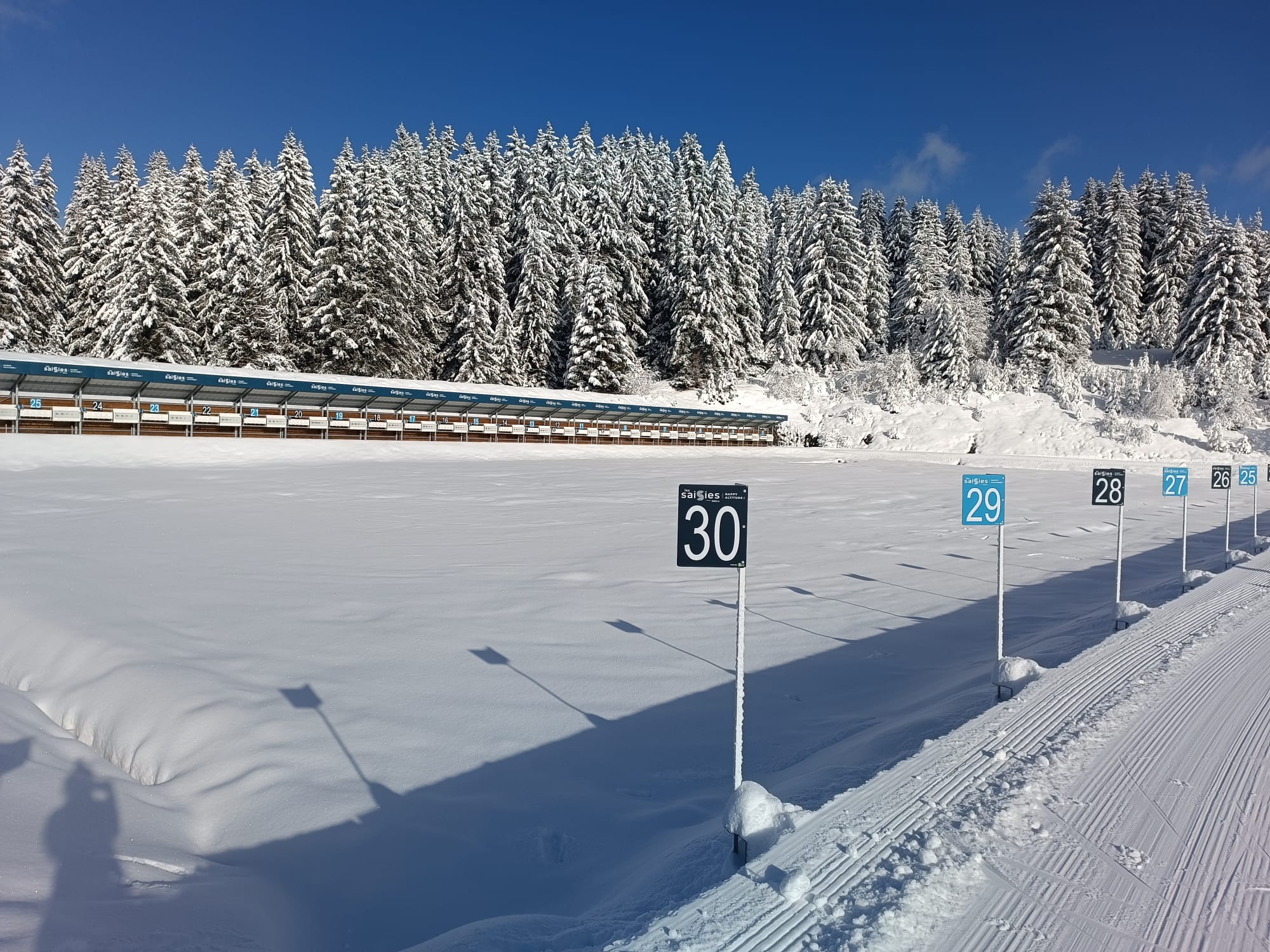 whatsapp-image-2024-12-27-at-17-42-05-1025874